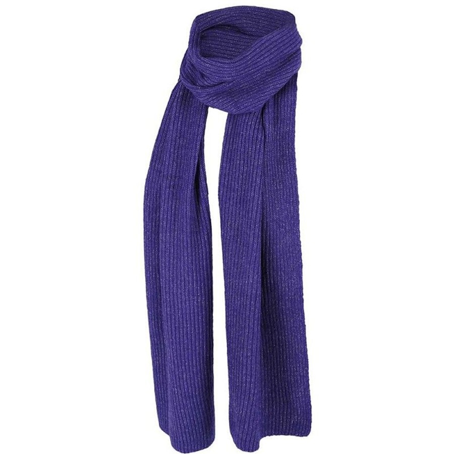 Dames Sarlini | Sarlini Gebreide Sjaal Blue Purple 000430-00043